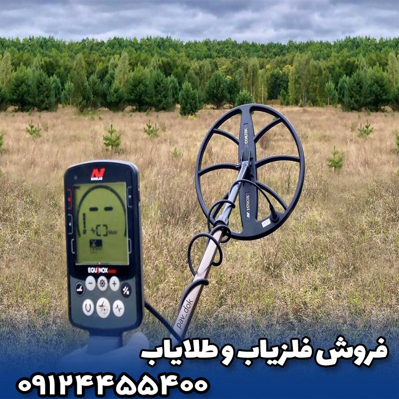 🌍 عملکرد فلزیاب اکوناکس 800 در زمینهای مختلف